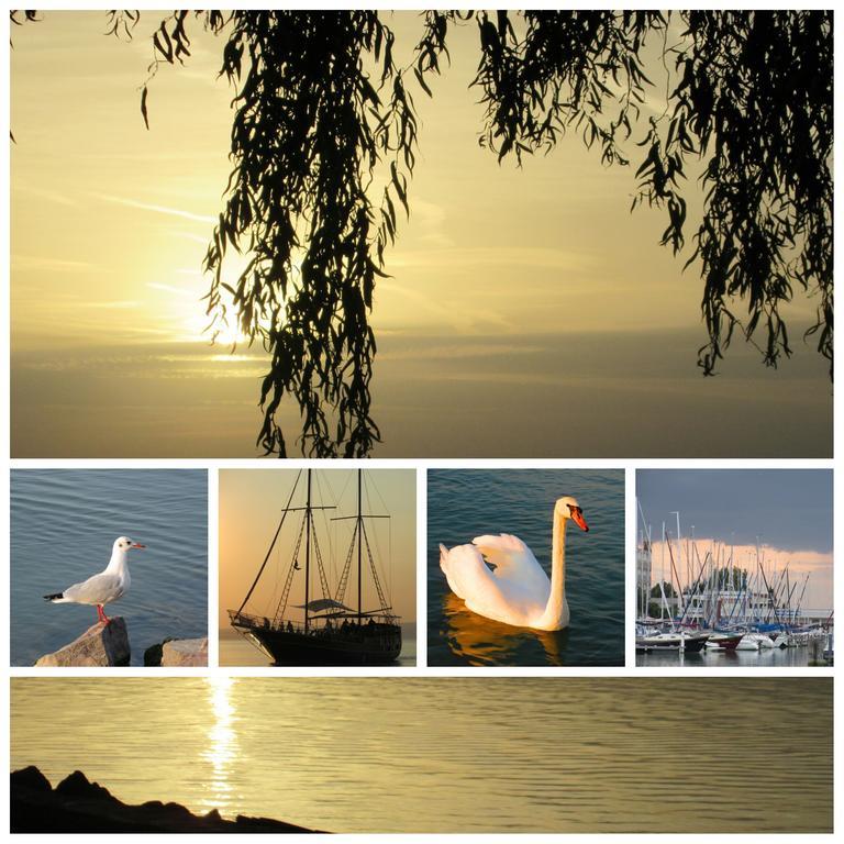 Vila Alexandra Vendeghaz Siófok Exteriér fotografie