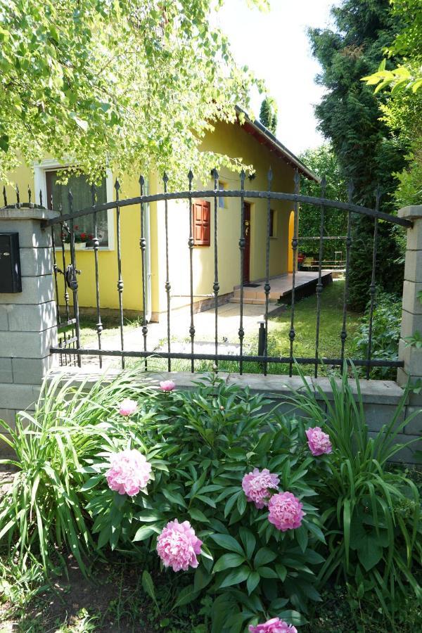 Vila Alexandra Vendeghaz Siófok Exteriér fotografie